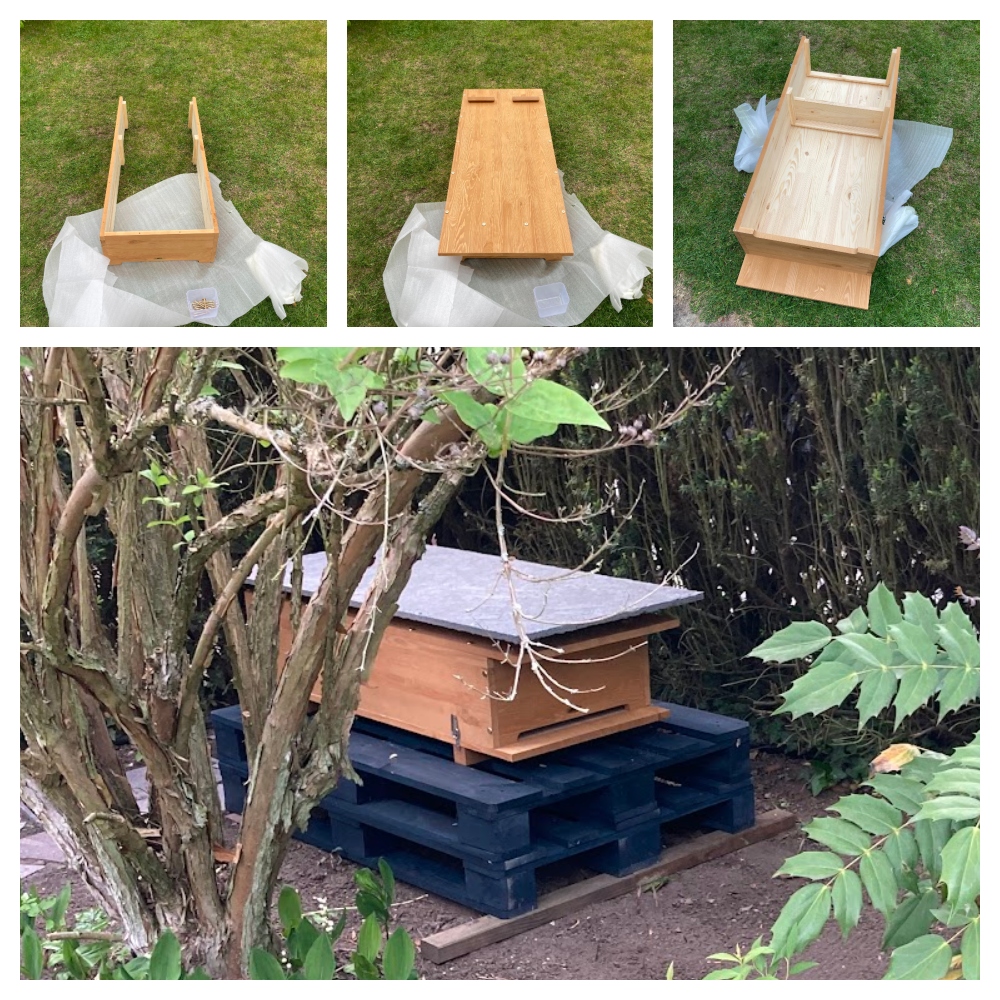 Bau der Bienenkiste